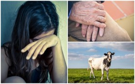 Drama unei fetiţe de 12 ani, vândută pe câteva vaci unui bătrân, să-i fie mireasă